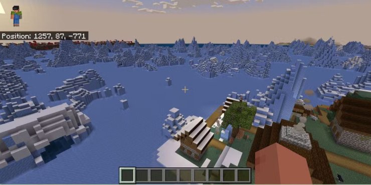 Fun Frozen Ocean Seed
