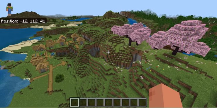 Villager And Illager Neighbor Seed