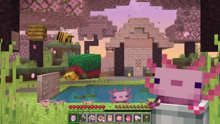 Actions And Stuff Axolotl Screenshot