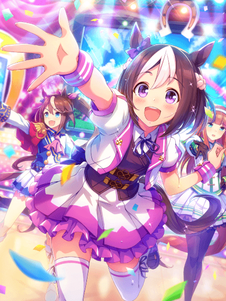 Tex Support Card 30001