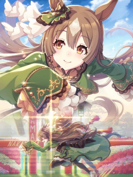 Tex Support Card 30029