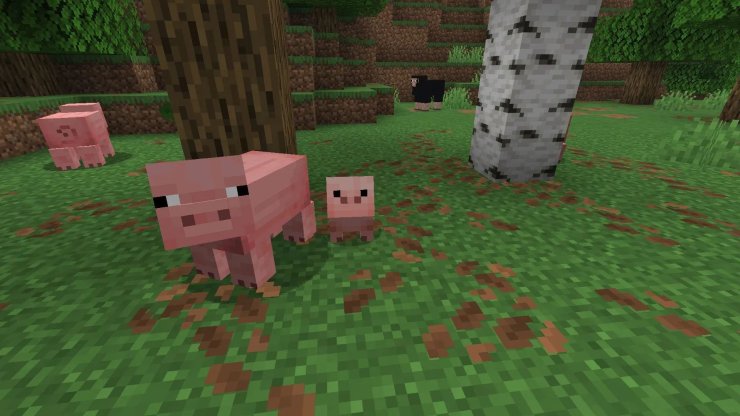 37307 17678019875864 1920