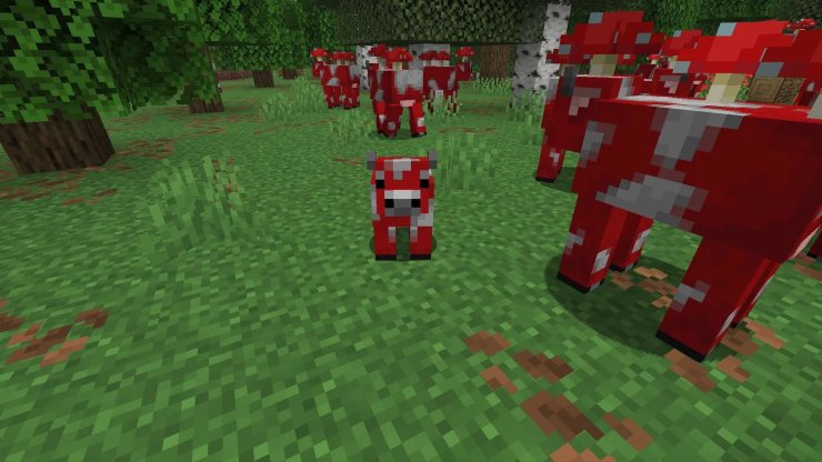 1f250 17678844220824 1920