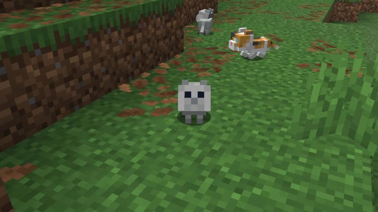 20316 17678843382656 1920