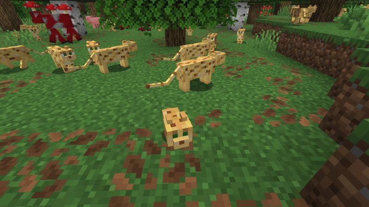 61cdf 17678843634835 1920