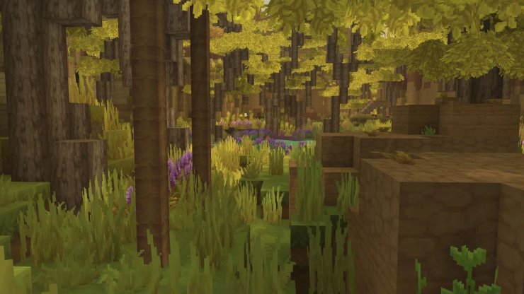 Bddb0 17686654476925 1920