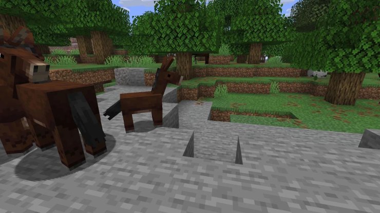 B4467 17689315954696 1920