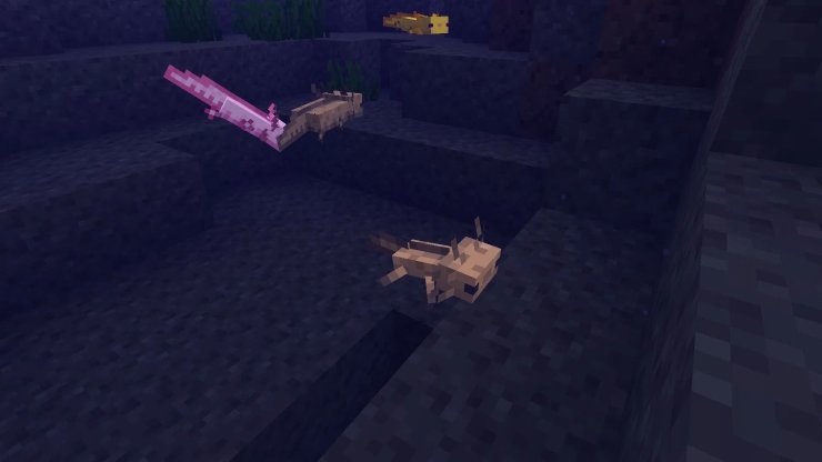 299be 17695354937470 1920