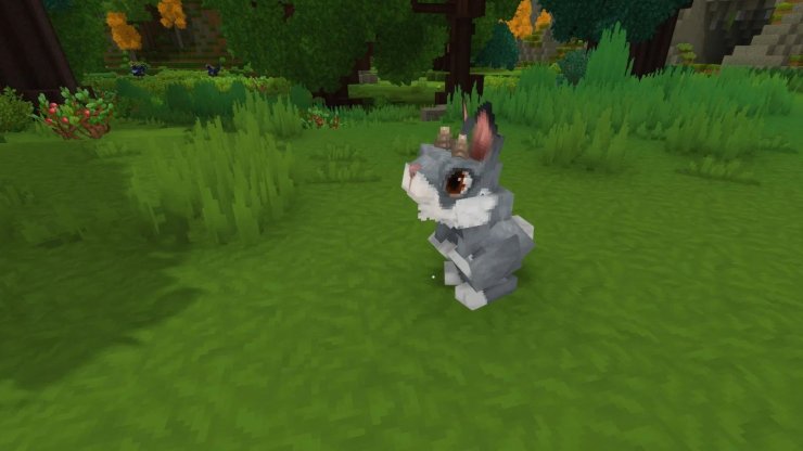 57531 17708911559958 1920