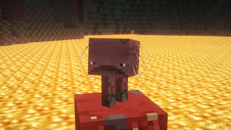 007e8 17708963401227 1920