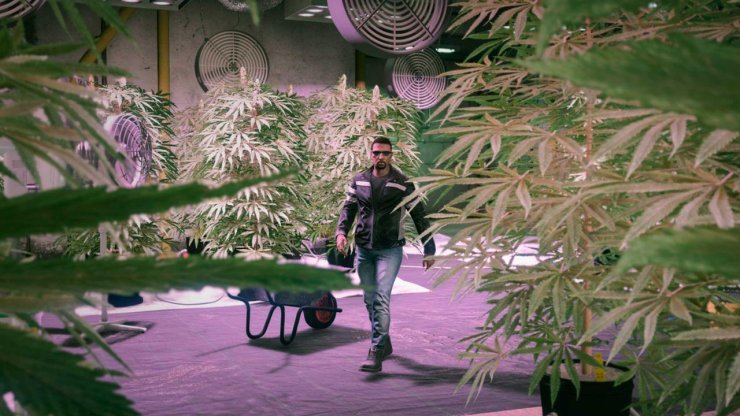 Gta Online 420 Event Week 2 Update 2