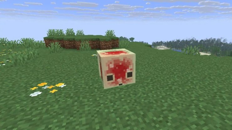 Sulfur Cube Archetype Slow Sliding Shroom Blocks