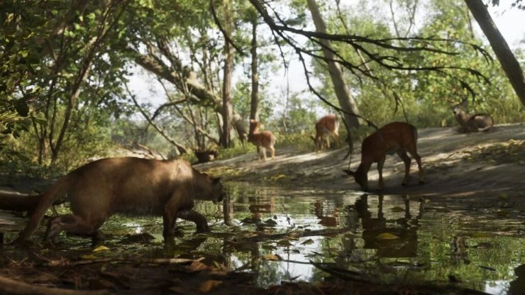 Animals At Mount Kalaga Park 1024x576
