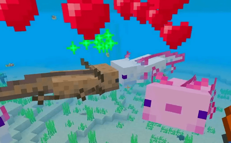 How To Breed Axolotls In Minecraft