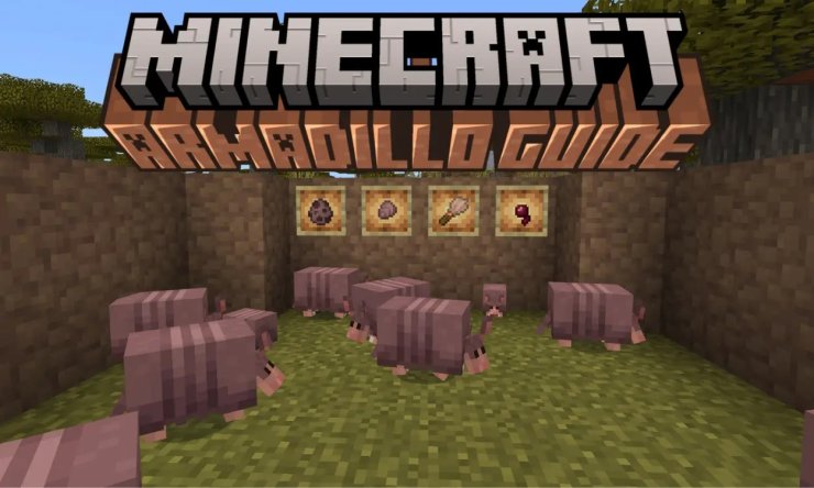 Armadillo Minecraft Guide