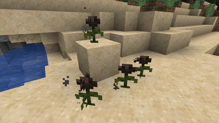 Collect Wither Roses Minecraft