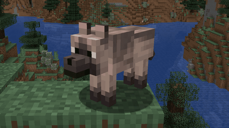 Chestnut Wolves Minecraft