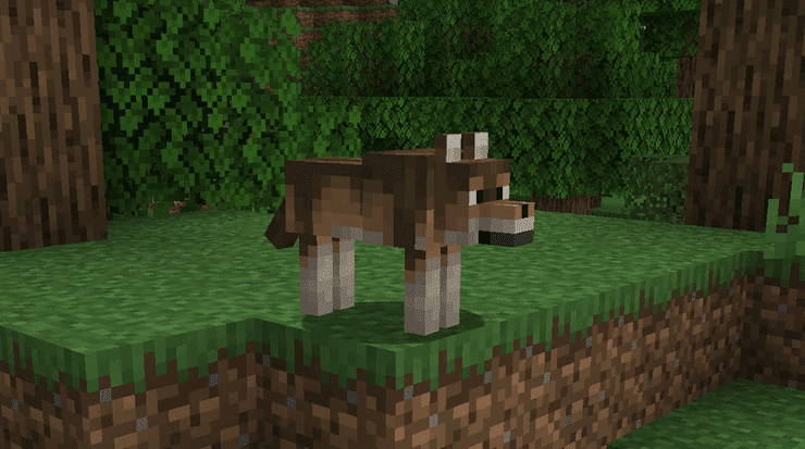 Woods Wolves Minecraft