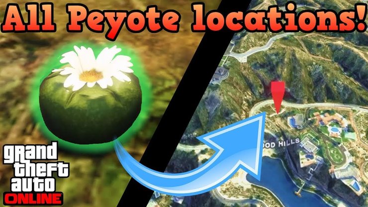 All Peyote Locations Gta 5online