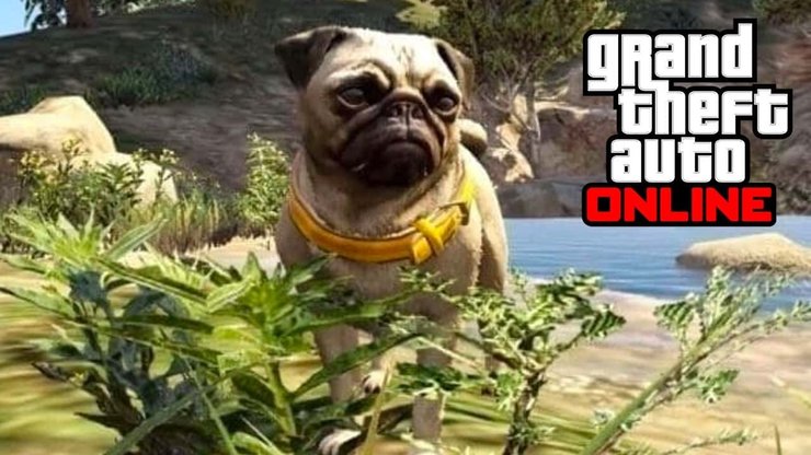 Gta Online Update Peyote