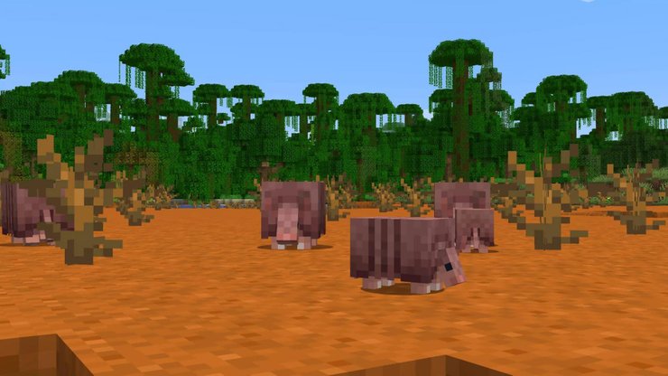 Armadillo Biome