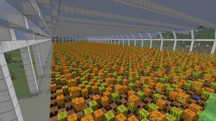 Pumpkin And Melon Farm