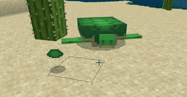 How To Get Turtle Scutes In Minecraft