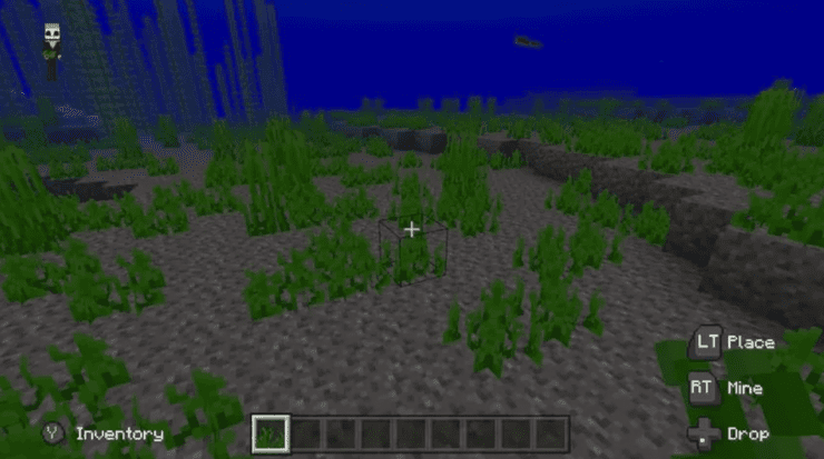 What Do Turtles Eat In Minecraft