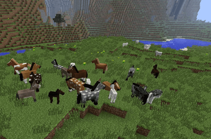 Where To Find Horses In Minecraft