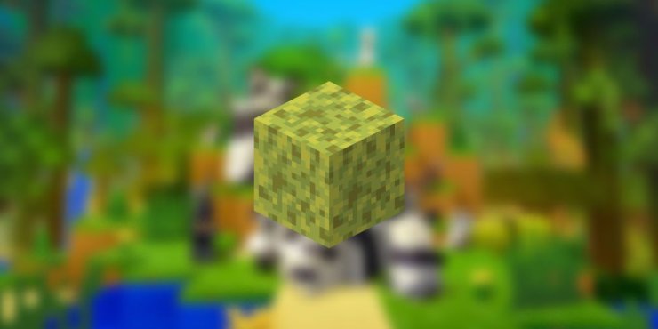 Sponges Minecraft