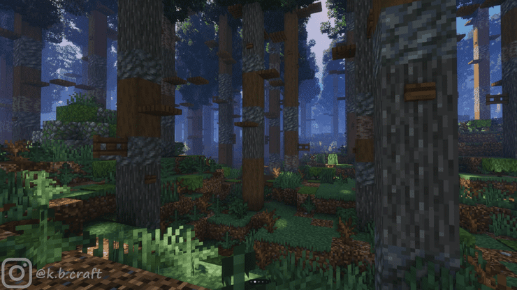 Pine Forest Minecraft 2