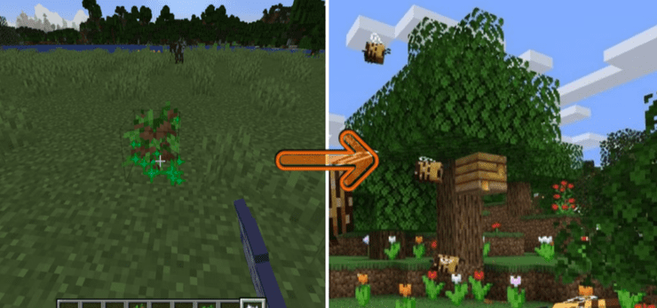 How To Spawn Bee Nests With Saplings