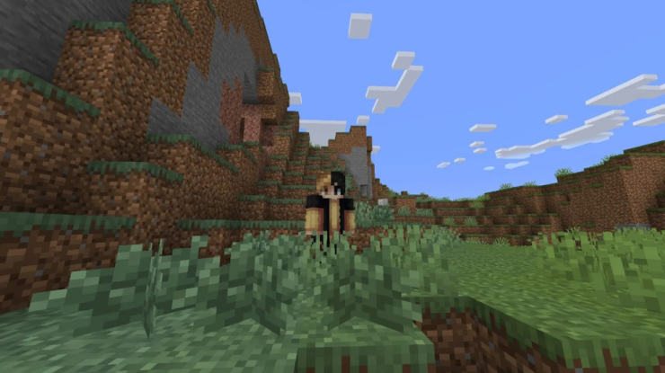 Minecraft Bush