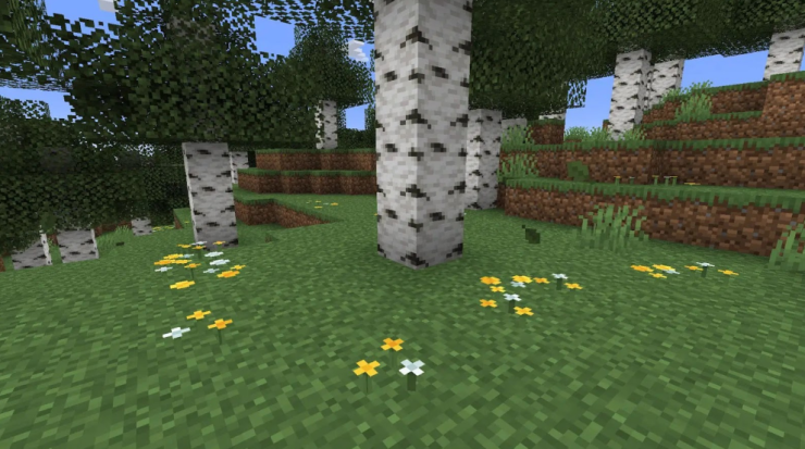 Minecraft Wildflowers